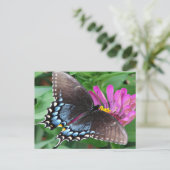 Schmetterling Postkarte (Stehend Vorderseite)