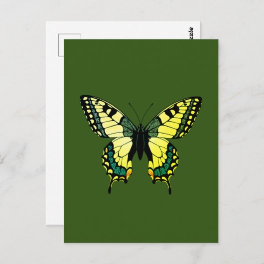 Schmetterling Postkarte (Vorne/Hinten)