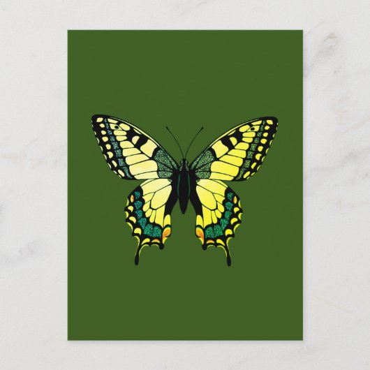 Schmetterling Postkarte (Vorderseite)