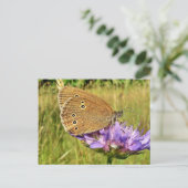 Schmetterling Postkarte (Stehend Vorderseite)