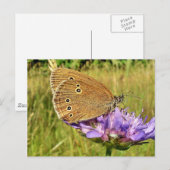 Schmetterling Postkarte (Vorne/Hinten)