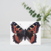 Schmetterling Postkarte (Stehend Vorderseite)
