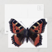 Schmetterling Postkarte (Vorne/Hinten)
