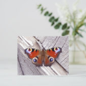 Schmetterling Postkarte (Stehend Vorderseite)