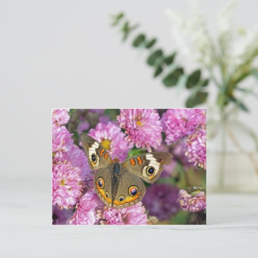 Schmetterling Postkarte (Stehend Vorderseite)