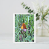 Schmetterling Postkarte (Stehend Vorderseite)
