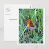 Schmetterling Postkarte (Vorne/Hinten)