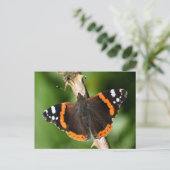 Schmetterling Postkarte (Stehend Vorderseite)
