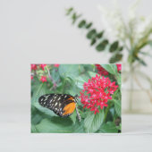 Schmetterling Postkarte (Stehend Vorderseite)
