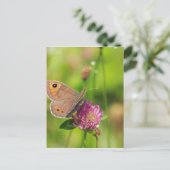 Schmetterling Postkarte (Stehend Vorderseite)
