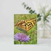 Schmetterling Postkarte (Stehend Vorderseite)