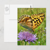 Schmetterling Postkarte (Vorne/Hinten)
