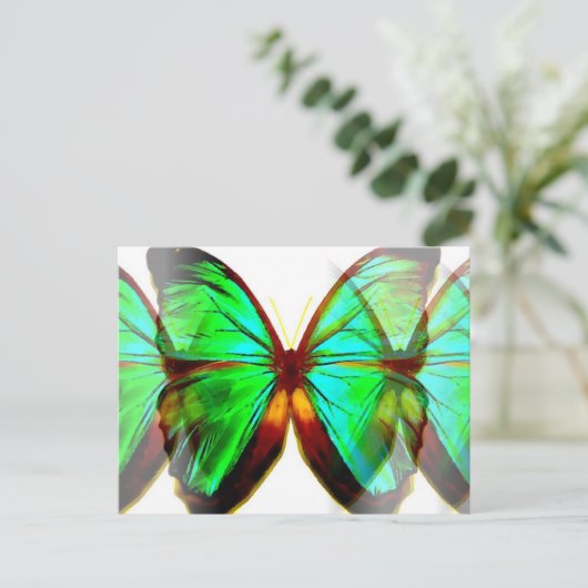 Schmetterling Postkarte (Stehend Vorderseite)