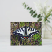 Schmetterling Postkarte (Stehend Vorderseite)