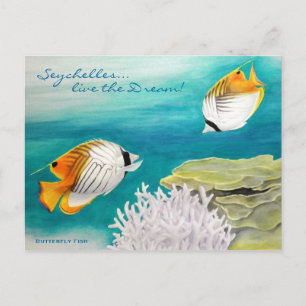 Schmetterling Postkarte