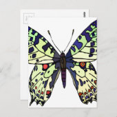 Schmetterling Postkarte (Vorne/Hinten)