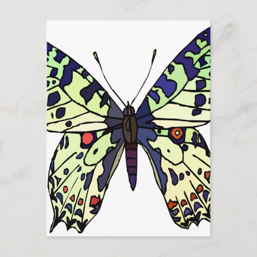 Schmetterling Postkarte (Vorderseite)