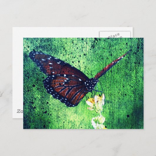 Schmetterling Postkarte (Vorne/Hinten)
