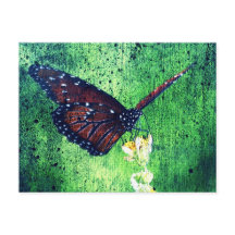 Schmetterling