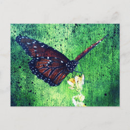 Schmetterling Postkarte