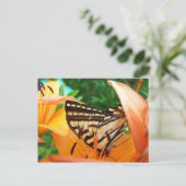 Schmetterling Postkarte (Stehend Vorderseite)