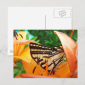 Schmetterling Postkarte (Vorne/Hinten)