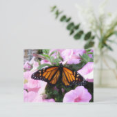 Schmetterling Postkarte (Stehend Vorderseite)