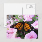 Schmetterling Postkarte (Vorne/Hinten)