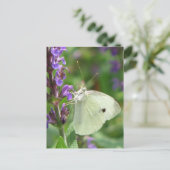 Schmetterling Postkarte (Stehend Vorderseite)