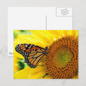 Schmetterling Postkarte (Vorne/Hinten)