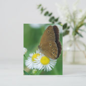 Schmetterling Postkarte (Stehend Vorderseite)