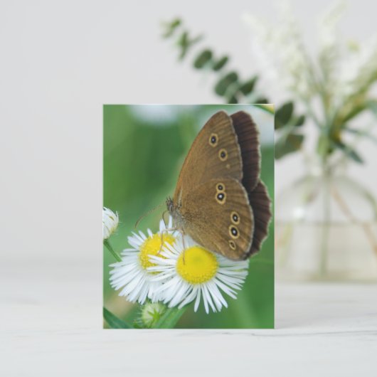 Schmetterling Postkarte (Stehend Vorderseite)