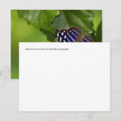 Schmetterling Postkarte (Vorne/Hinten)