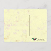 Schmetterling ~ Postkarte / Einladung (Rückseite)