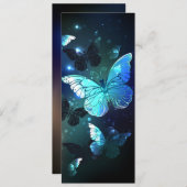 Schmetterling Programm (Vorne/Hinten)