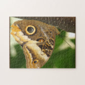 Schmetterling Puzzle (Horizontal)