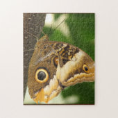 Schmetterling Puzzle (Vertikal)