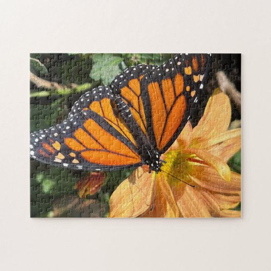 Schmetterling Puzzle (Horizontal)