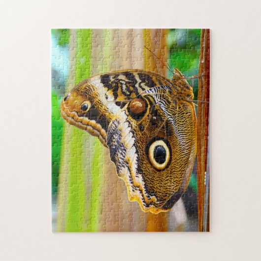 Schmetterling. Puzzle (Vertikal)