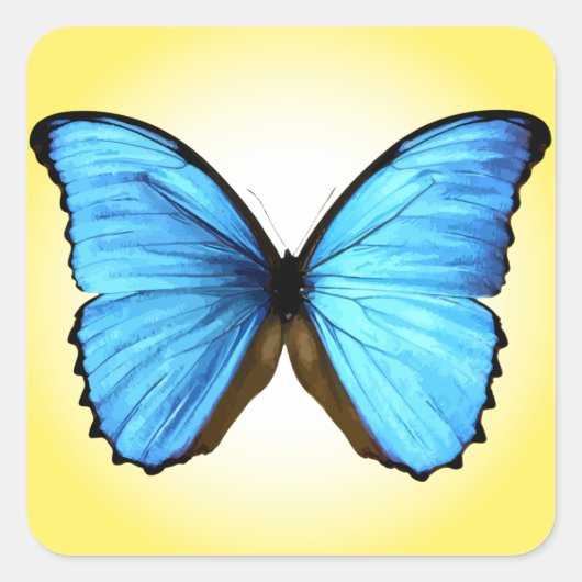 Schmetterling Quadratischer Aufkleber (Vorderseite)