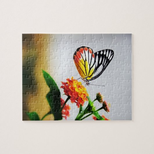 Schmetterling - Rätsel Puzzle (Horizontal)