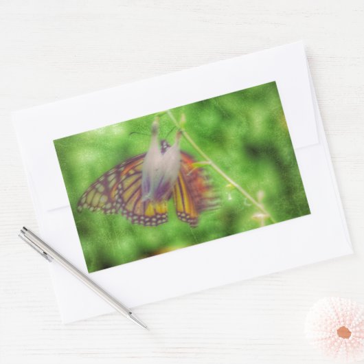 Schmetterling Rechteckiger Aufkleber (Umschlag)