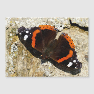 Schmetterling - Roter Admiral Magnetkarte