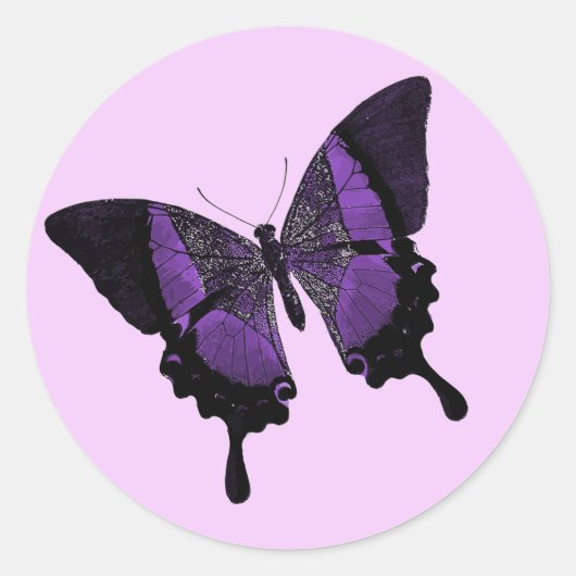 Schmetterling Runder Aufkleber (Vorderseite)