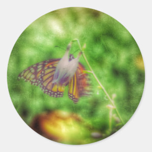 Schmetterling Runder Aufkleber