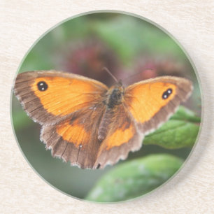 Schmetterling Sandstein Untersetzer