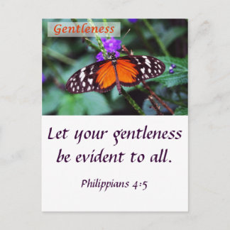 Schmetterling - sanft postkarte