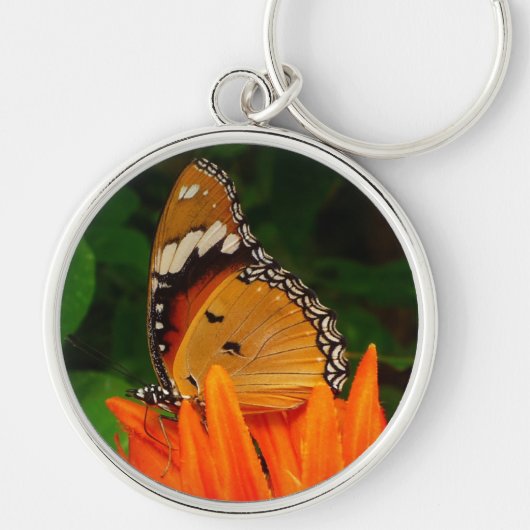 Schmetterling Schlüsselanhänger (Vorne)