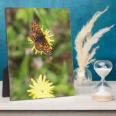 Schmetterling - Schön! Fotoplatte (Seite)