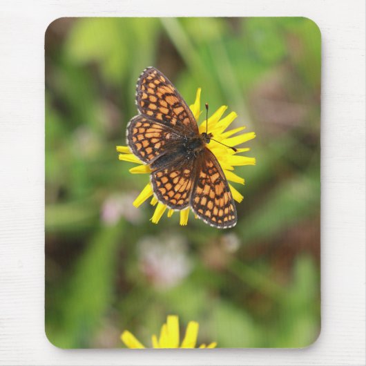 Schmetterling - Schön! Mousepad (Vorne)